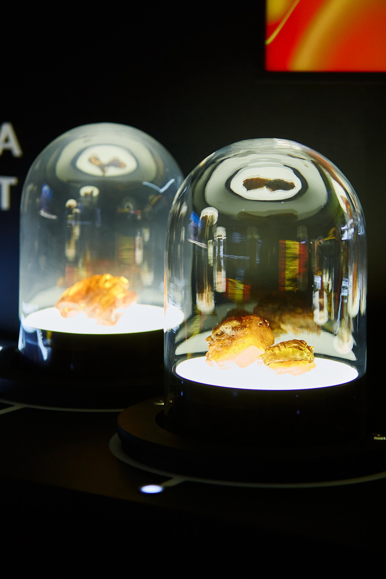 Янтарная галерея. Alena Nezalenova