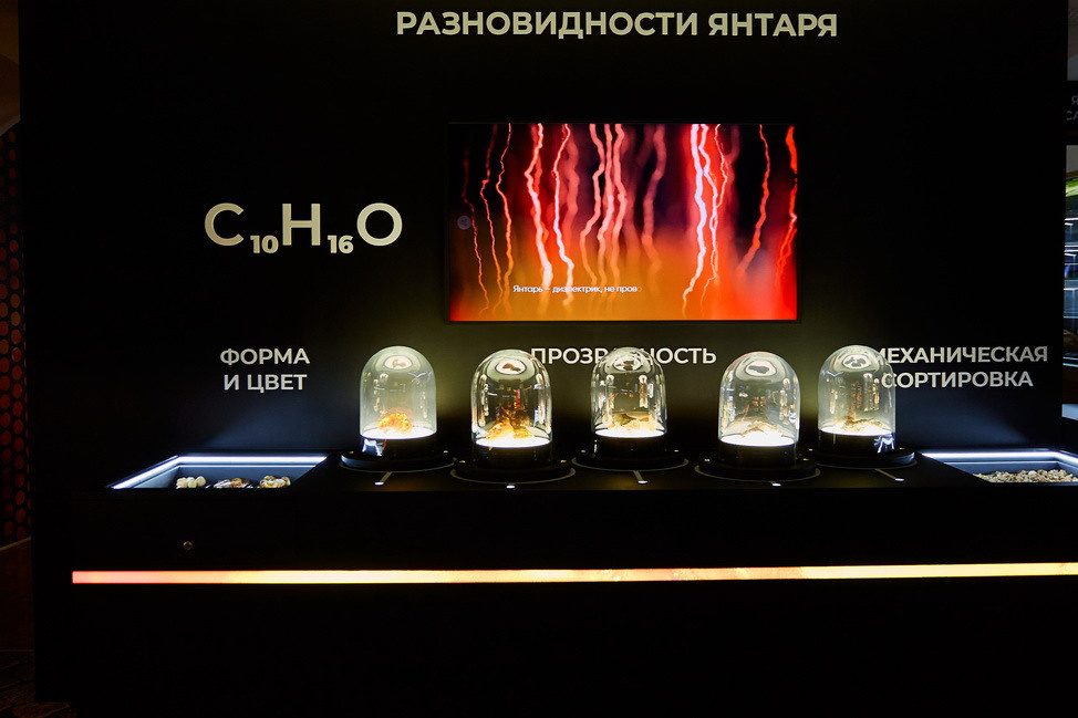 Янтарная галерея. Alena Nezalenova