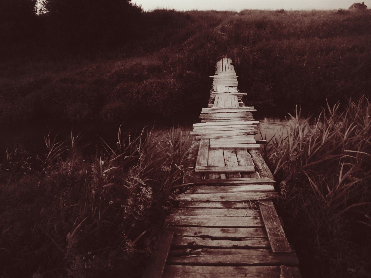 Мои первые работы. Фотограф из Москвы — DASHA NOVA | Авторская фотография в разных жанрах