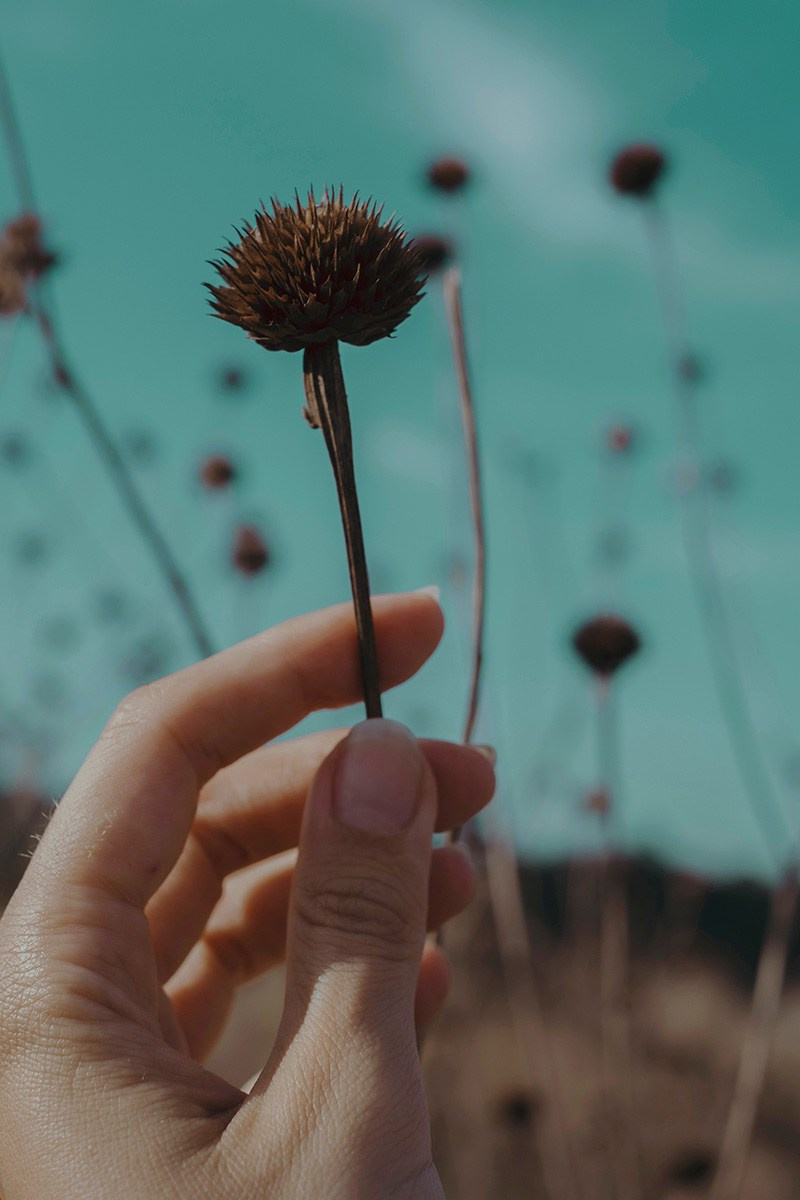 Арт фотограф Виктория Фатина Москва | visual art