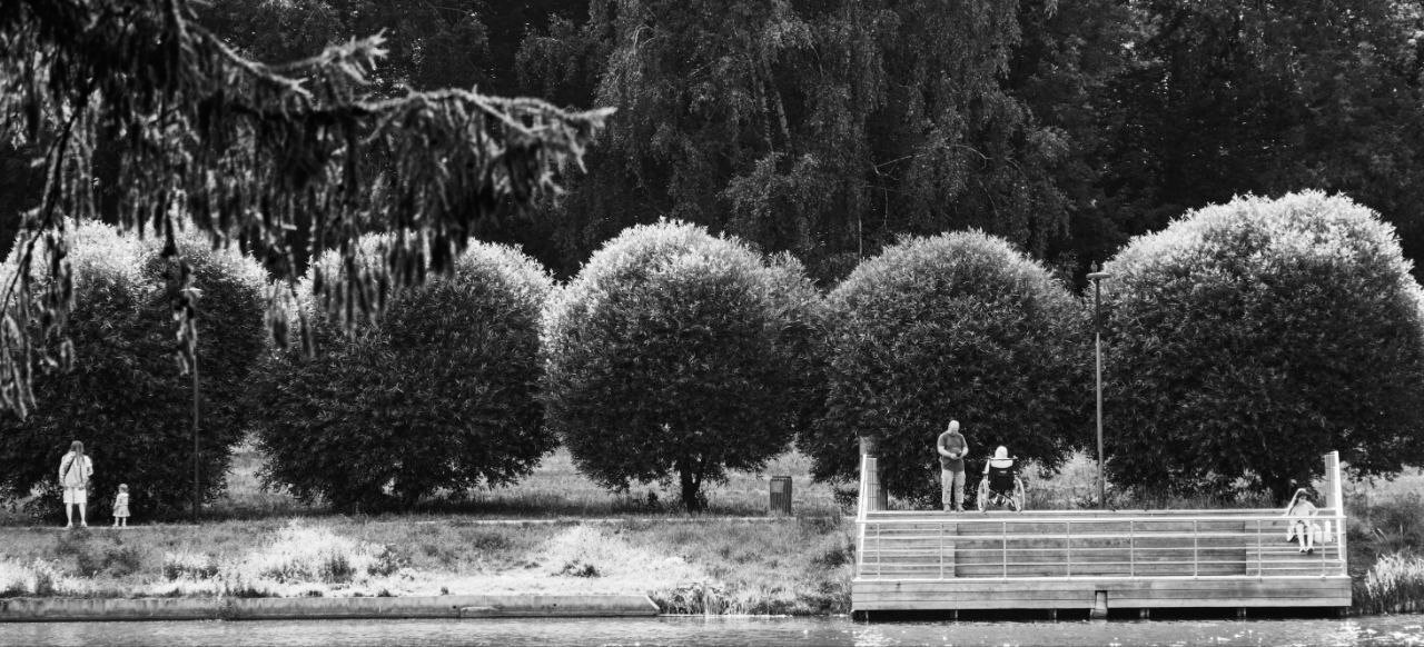 Черно-белая фотография набережной: деревянный пирс у воды, люди на пристани включая человека в инвалидной коляске, ряд подстриженных шаровидных деревьев вдоль берега, мать с ребенком слева, уличная фотография повседневной жизни, городская набережная, Вадим Топорёнок, Манифест теней