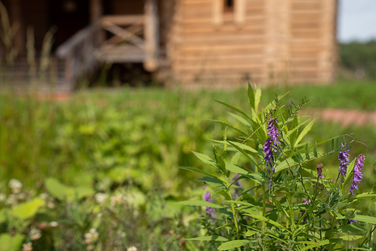 Крещение Грасио Пино или Нади
