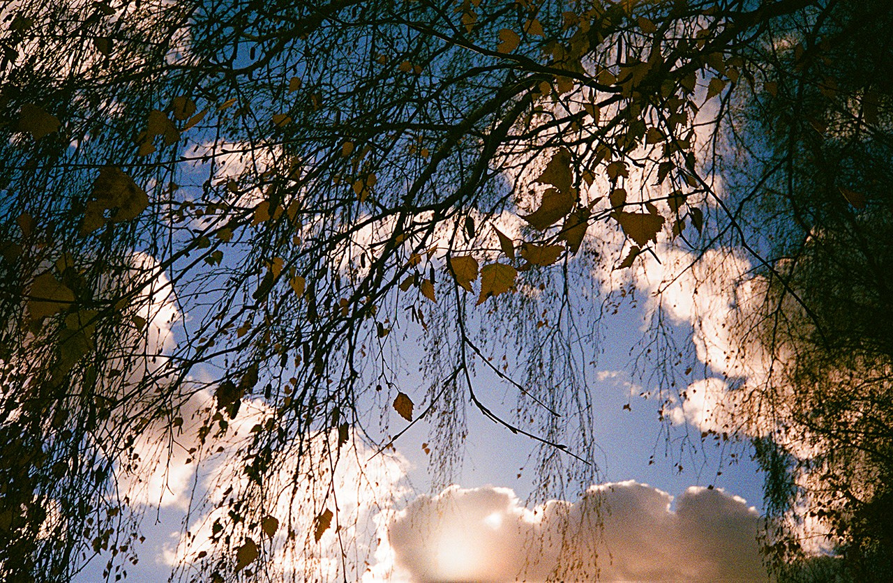 РАЗНОЕ. Андрей Пономарёв