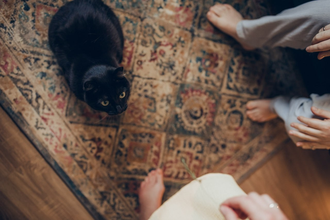 Веселое ожидание. Семейный фотограф в Казани Шамгулова Марина