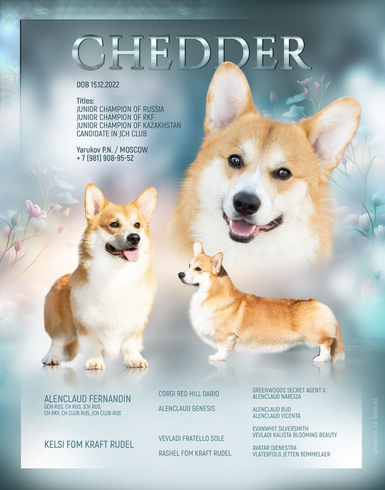 Презентации из моих фото. Фотограф. Фотограф-анималист. Москва