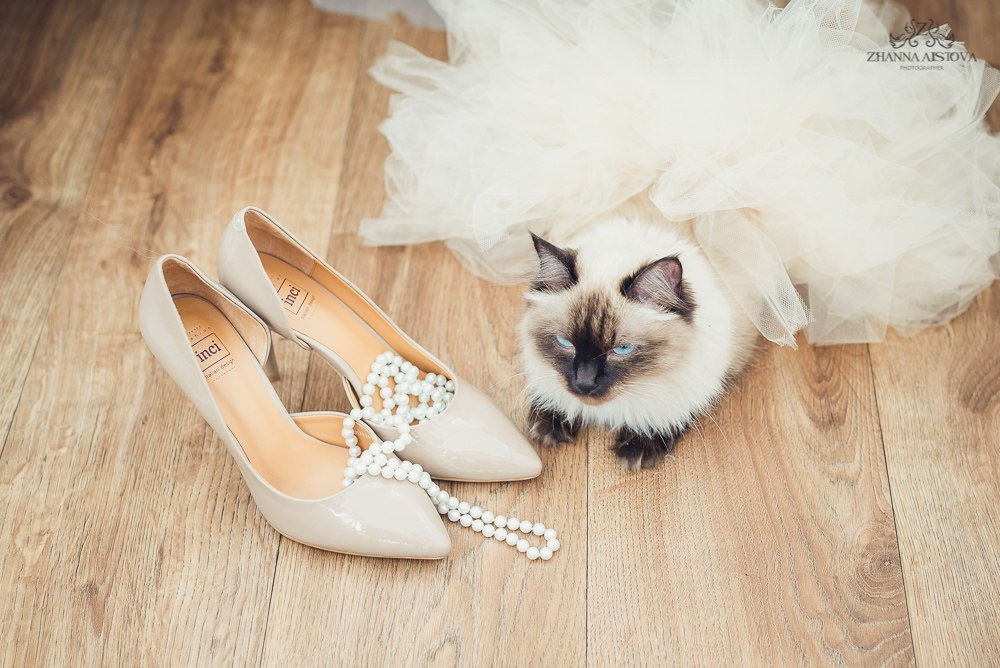 Свадьбы в Туле. Портретный, семейный, свадебный фотограф. Бизнес, контент съёмка. Тула