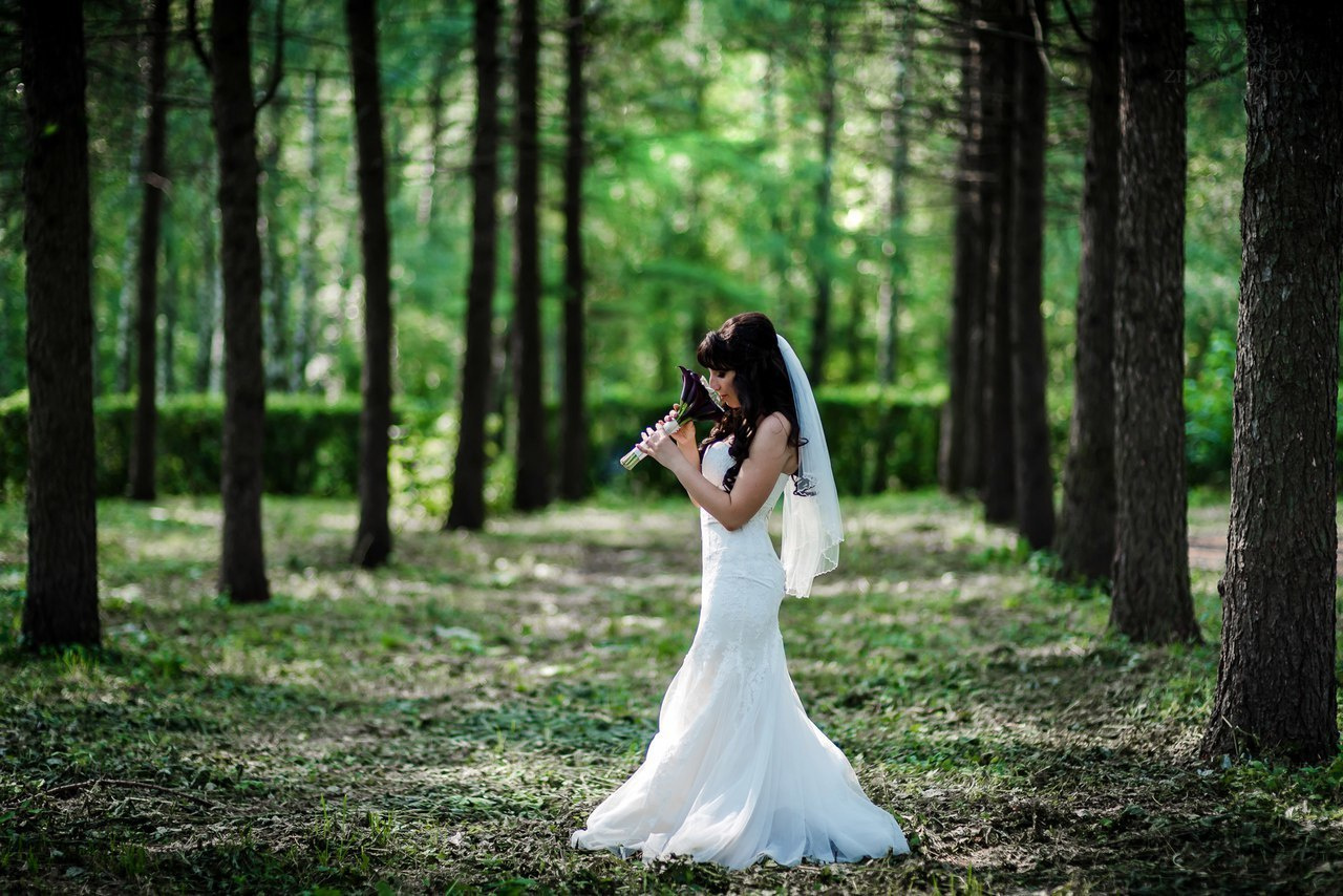 Свадьбы в Туле. Портретный, семейный, свадебный фотограф. Бизнес, контент съёмка. Тула