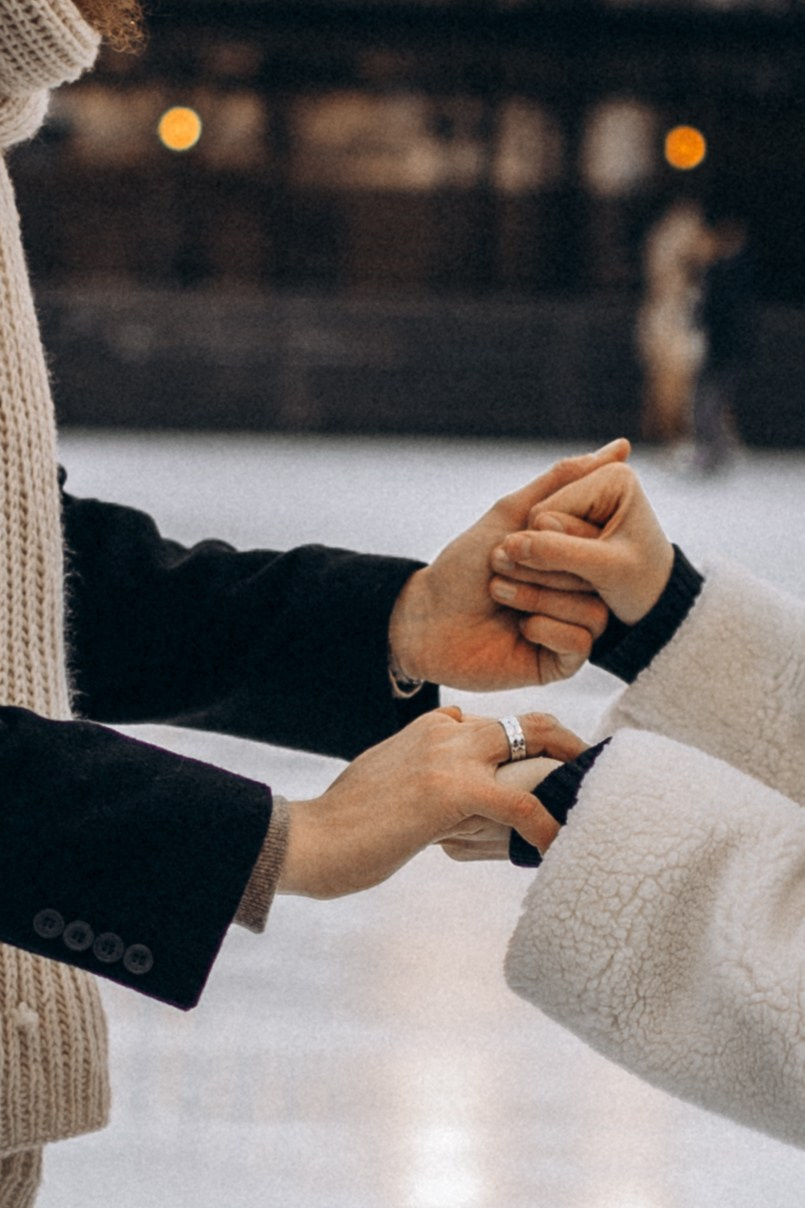 New Holland. Фотограф в Санкт-Петербурге Арбатская Наталья