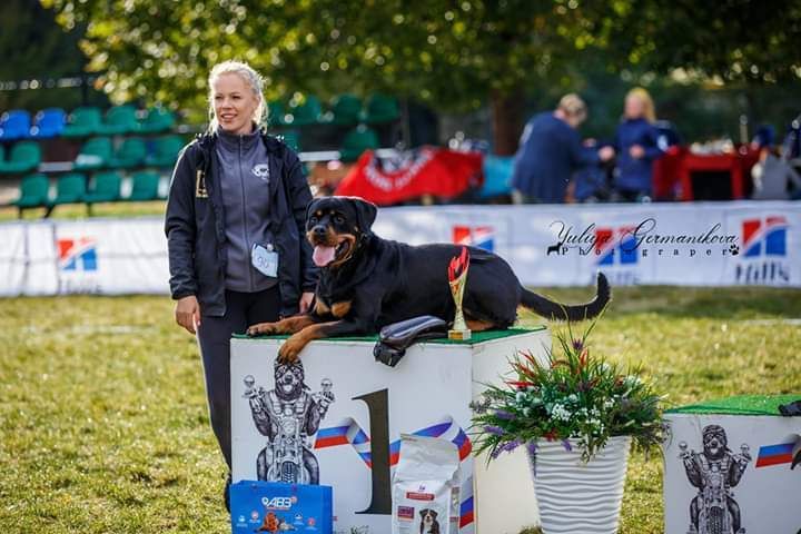 Монопородные выставки. Фотограф-анималист Юлия Германика