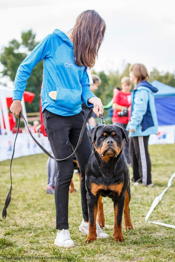 Монопородные выставки. Фотограф-анималист Юлия Германика