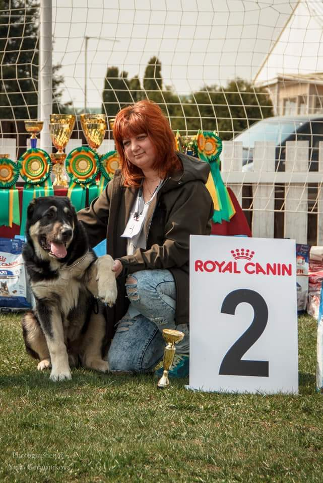 Монопородные выставки. Фотограф-анималист Юлия Германика