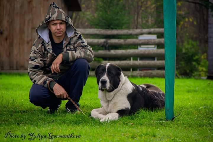 Монопородные выставки. Фотограф-анималист Юлия Германика