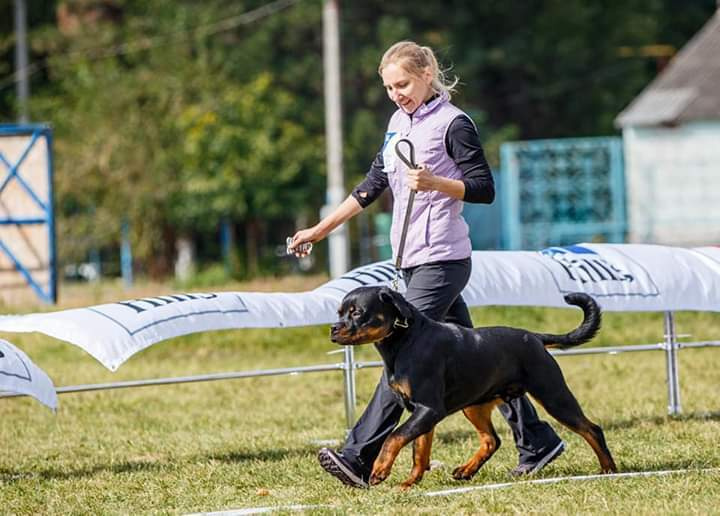 Монопородные выставки. Фотограф-анималист Юлия Германика