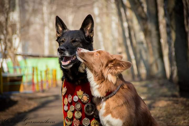 Свободная съемка. Фотограф-анималист Юлия Германика