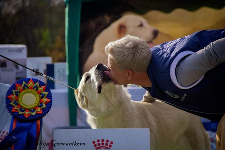 Монопородные выставки. Фотограф-анималист Юлия Германика