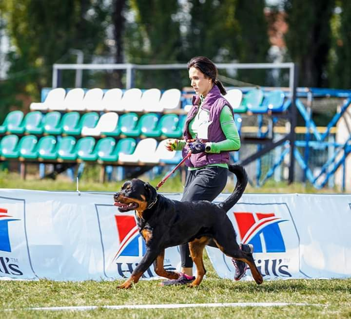 Монопородные выставки. Фотограф-анималист Юлия Германика