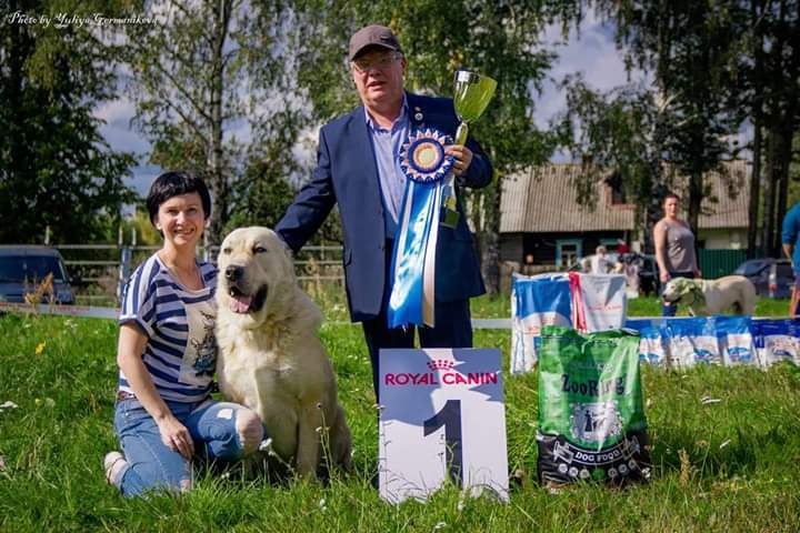 Монопородные выставки. Фотограф-анималист Юлия Германика