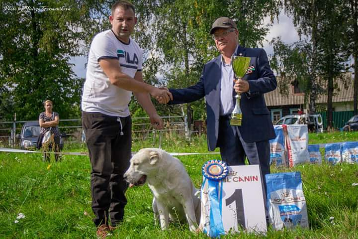 Монопородные выставки. Фотограф-анималист Юлия Германика