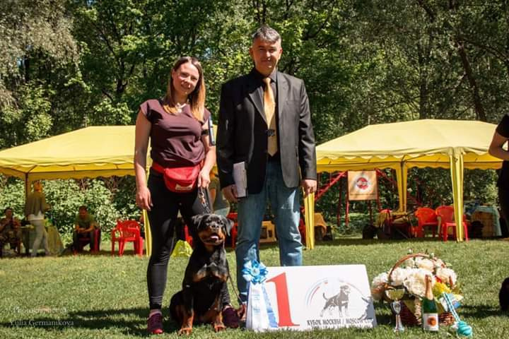 Монопородные выставки. Фотограф-анималист Юлия Германика