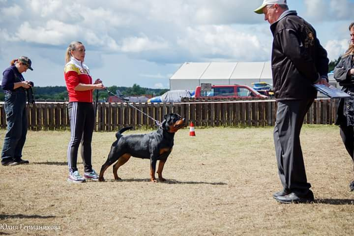 Монопородные выставки. Фотограф-анималист Юлия Германика