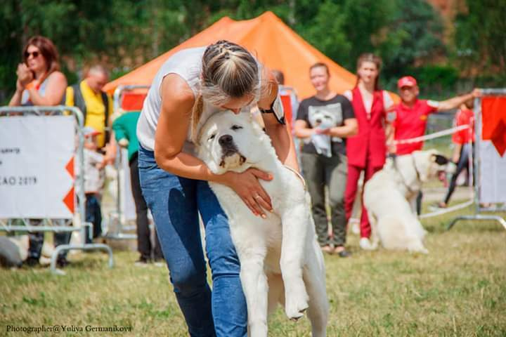 Монопородные выставки. Фотограф-анималист Юлия Германика