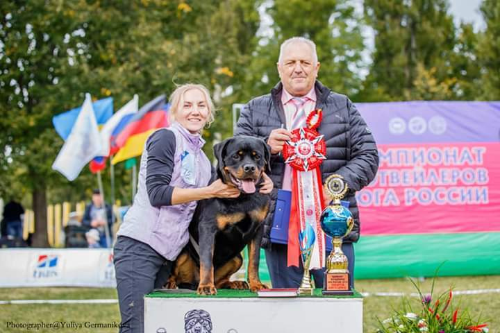 Монопородные выставки. Фотограф-анималист Юлия Германика