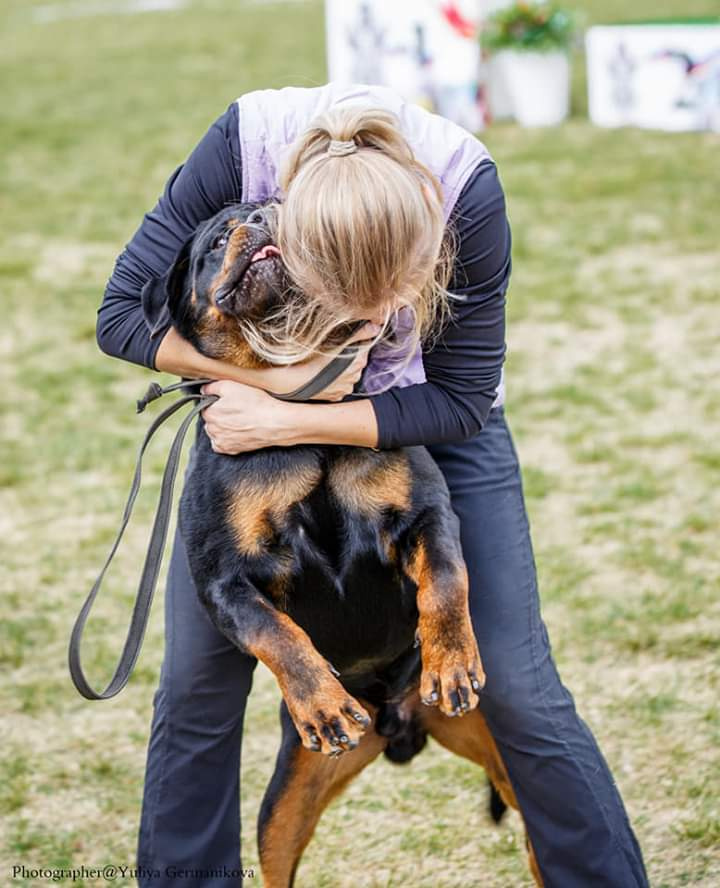 Монопородные выставки. Фотограф-анималист Юлия Германика