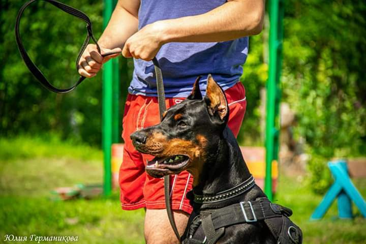 Свободная съемка. Фотограф-анималист Юлия Германика