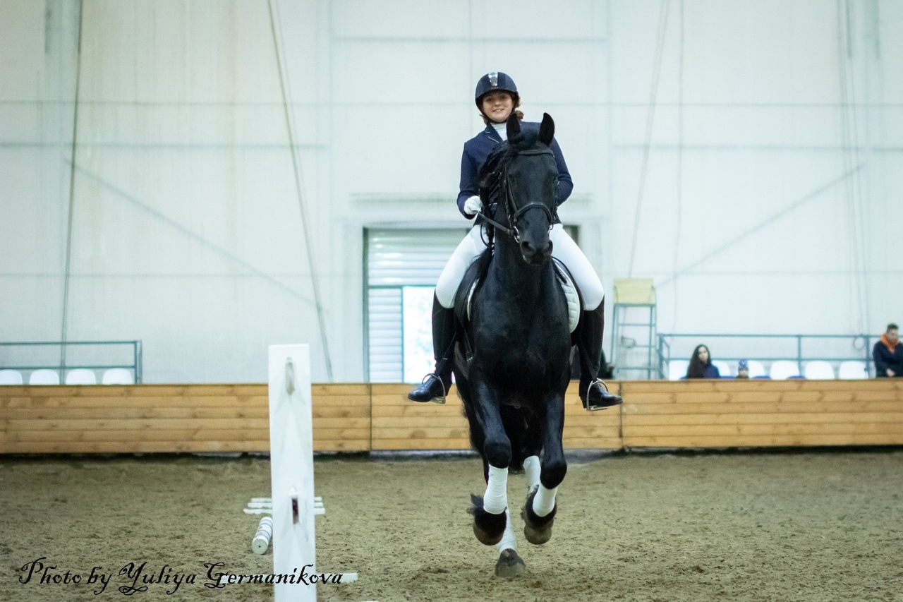 Съёмки с лошадьми. Фотограф-анималист Юлия Германика