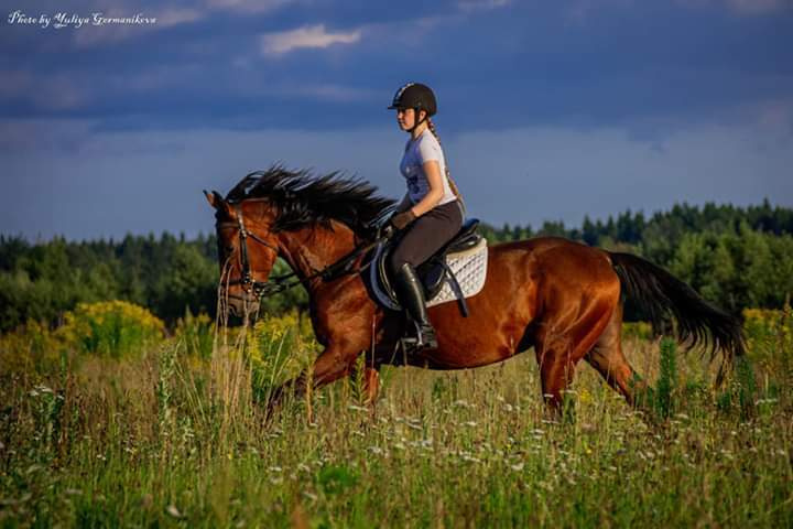 Съёмки с лошадьми. Фотограф-анималист Юлия Германика