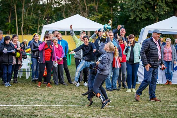 Монопородные выставки. Фотограф-анималист Юлия Германика