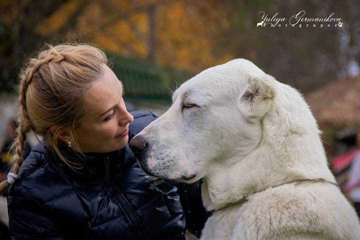 Монопородные выставки. Фотограф-анималист Юлия Германика