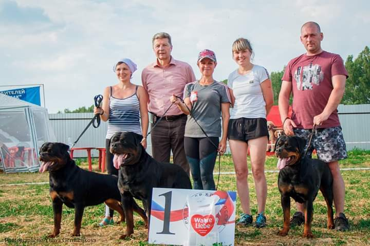 Монопородные выставки. Фотограф-анималист Юлия Германика