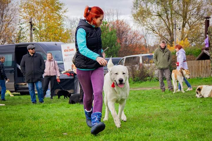 Монопородные выставки. Фотограф-анималист Юлия Германика