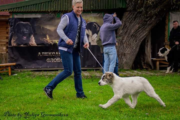Монопородные выставки. Фотограф-анималист Юлия Германика