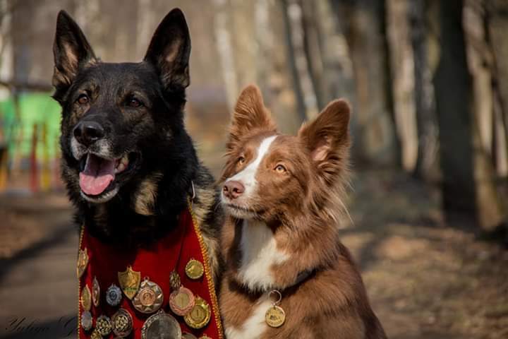 Свободная съемка. Фотограф-анималист Юлия Германика