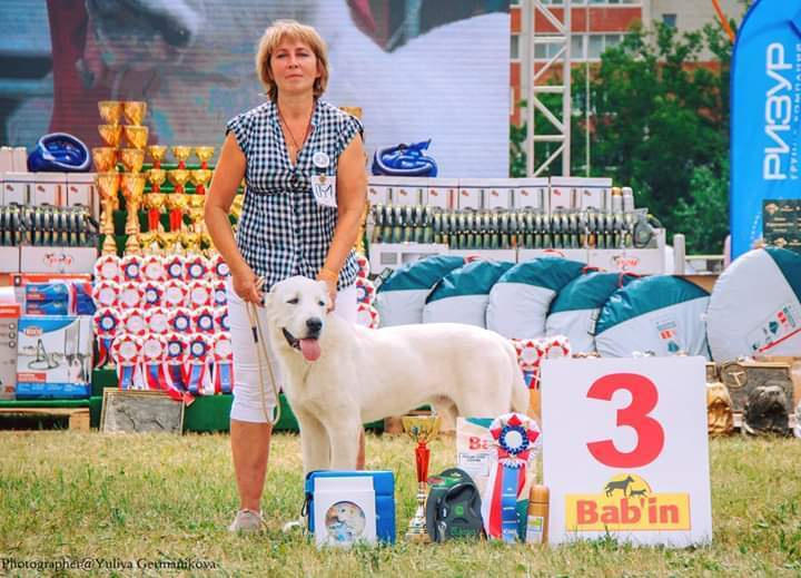 Монопородные выставки. Фотограф-анималист Юлия Германика