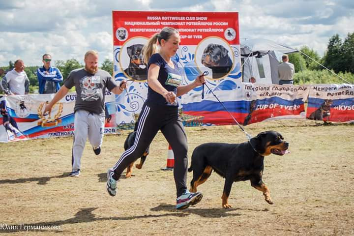Монопородные выставки. Фотограф-анималист Юлия Германика