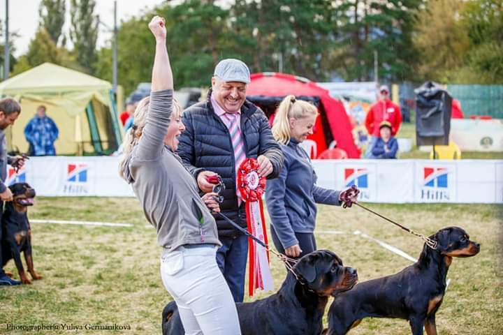 Монопородные выставки. Фотограф-анималист Юлия Германика
