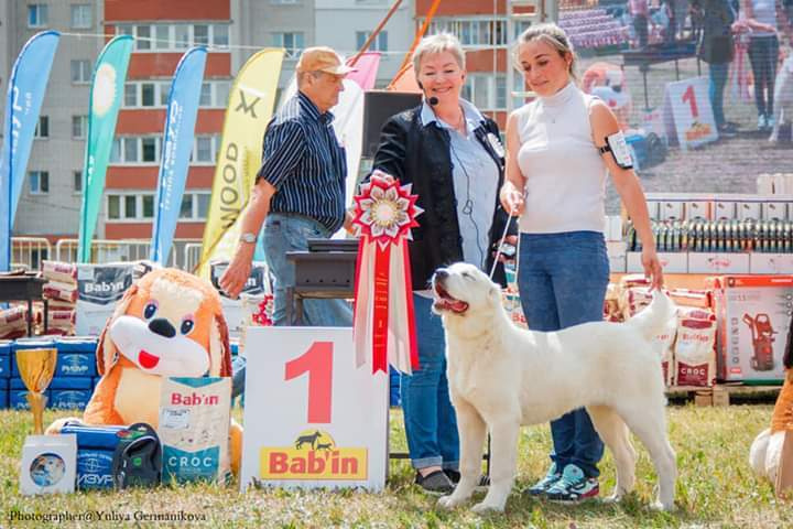 Монопородные выставки. Фотограф-анималист Юлия Германика