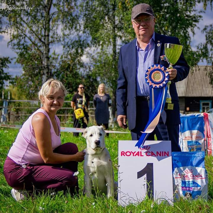 Монопородные выставки. Фотограф-анималист Юлия Германика