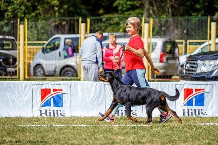 Монопородные выставки. Фотограф-анималист Юлия Германика