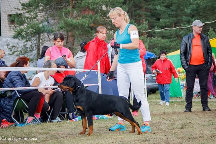 Монопородные выставки. Фотограф-анималист Юлия Германика