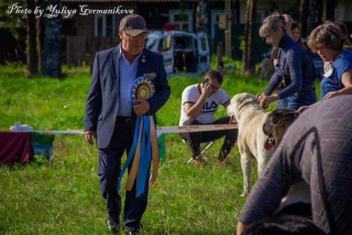 Монопородные выставки. Фотограф-анималист Юлия Германика