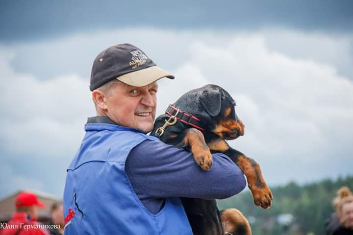 Монопородные выставки. Фотограф-анималист Юлия Германика