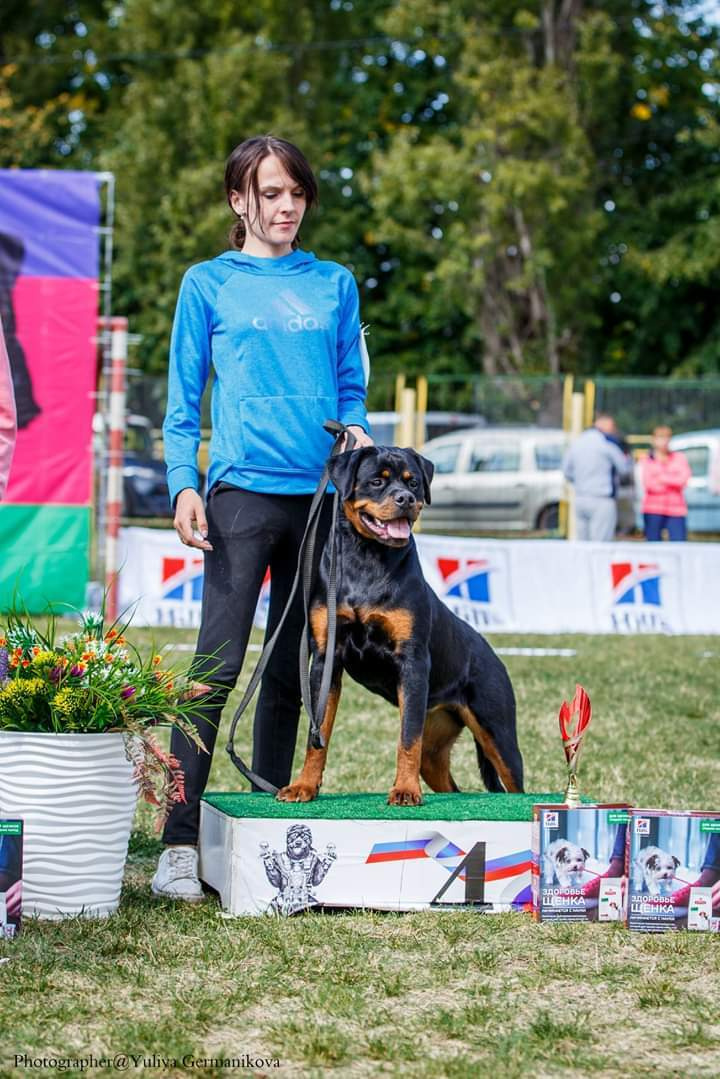 Монопородные выставки. Фотограф-анималист Юлия Германика