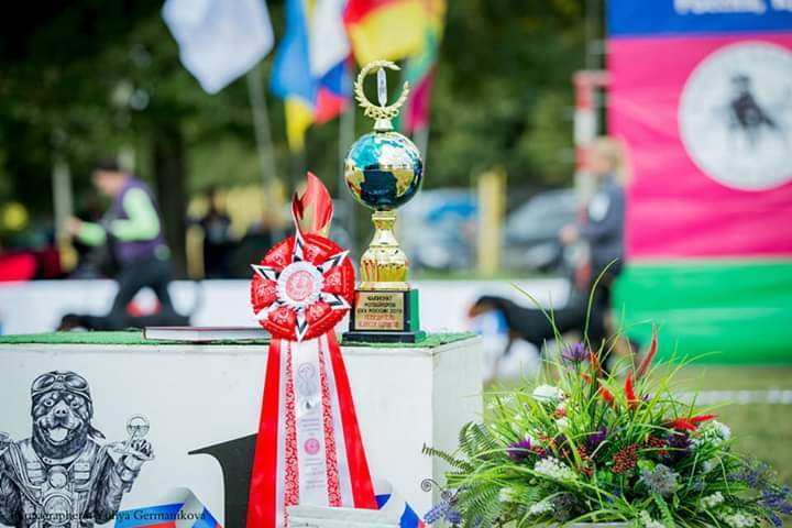 Монопородные выставки. Фотограф-анималист Юлия Германика