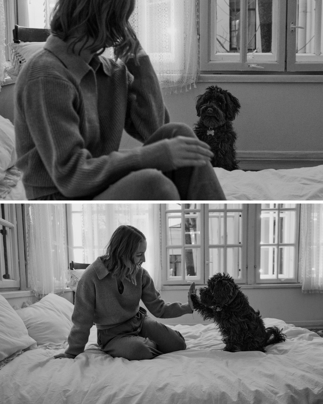 Хвостатый фотодень. Фотограф / Санкт-Петербург / Галина Никонова