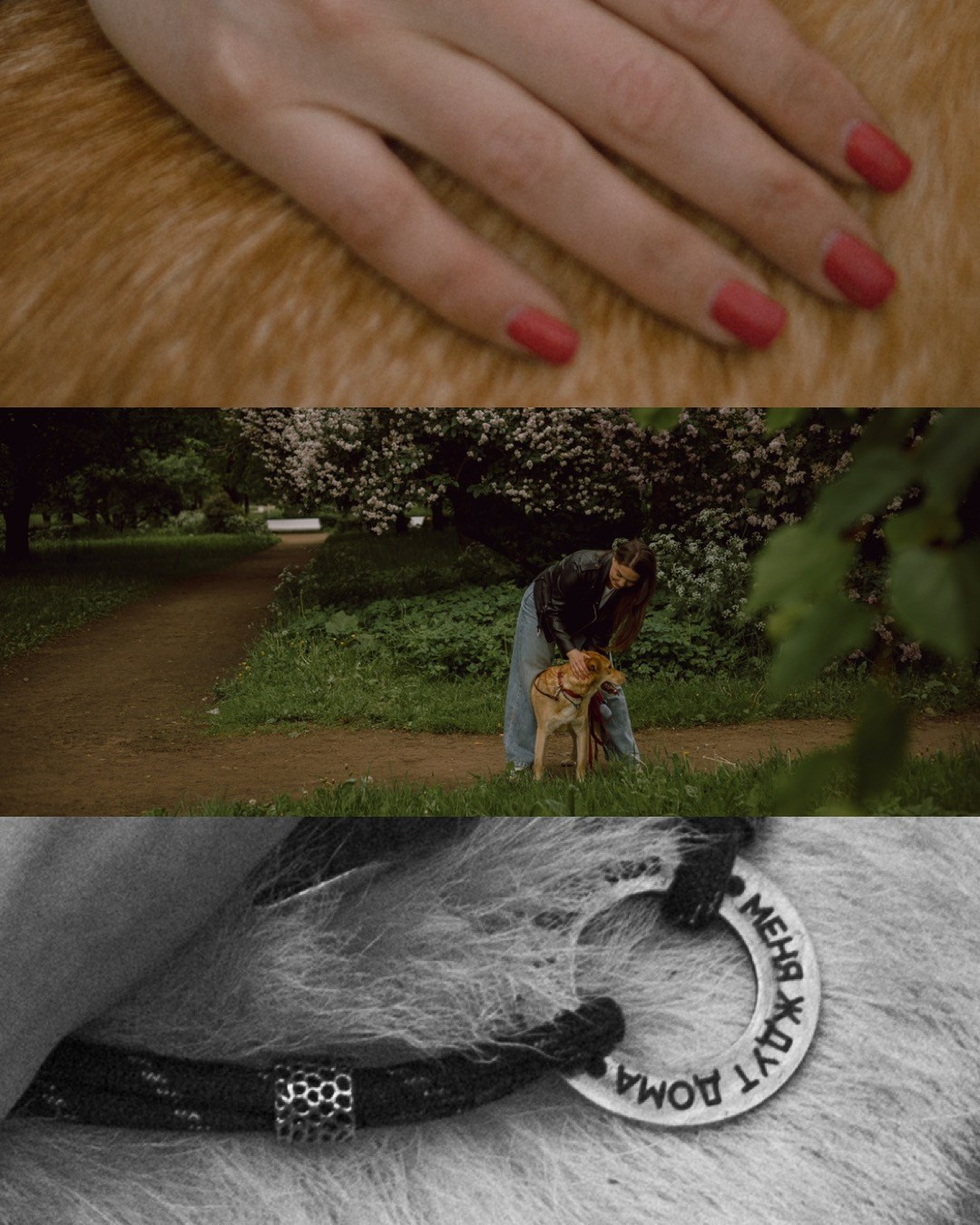 Света и Берт. Фотограф — анималист •love-story•|Санкт-Петербург