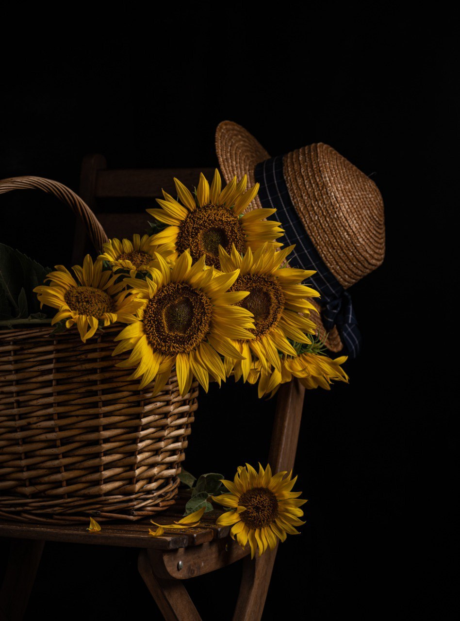 Творческие съёмки